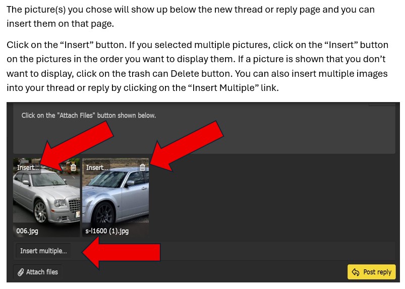 Post pics 300.JPG
