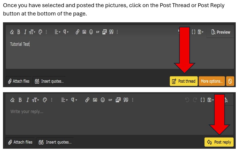 Post pics 400.JPG