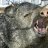 javelina
