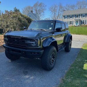 Raptor.jpg
