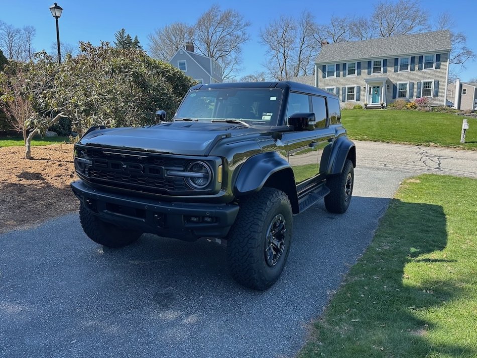 Raptor.jpg